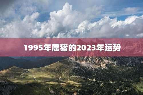 1995年属猪的2023年运势