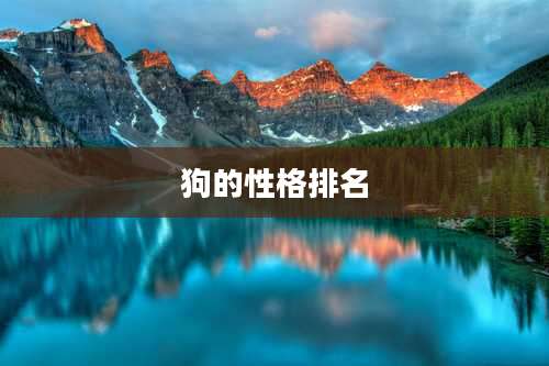 狗的性格排名