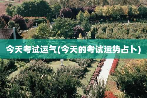 今天考试运气(今天的考试运势占卜)