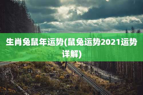 生肖兔鼠年运势(鼠兔运势2021运势详解)