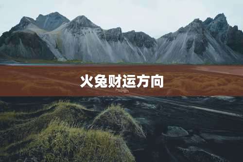 火兔财运方向