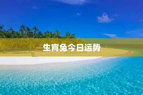 生宵兔今日运势