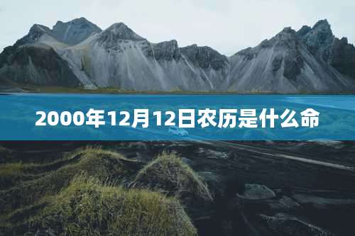 2000年12月12日农历是什么命