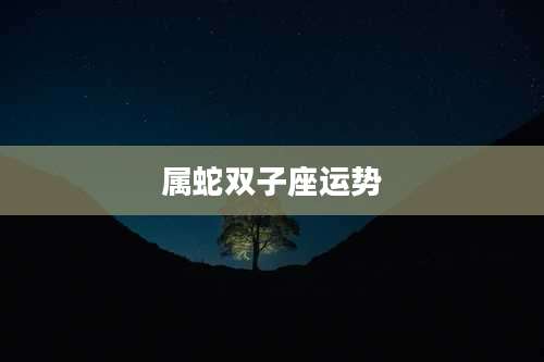 属蛇双子座运势