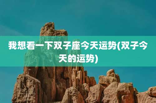 我想看一下双子座今天运势(双子今天的运势)