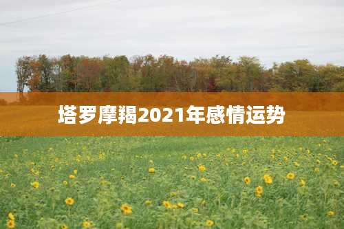 塔罗摩羯2021年感情运势