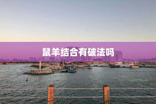 鼠羊结合有破法吗
