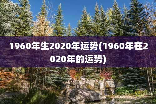 1960年生2020年运势(1960年在2020年的运势)