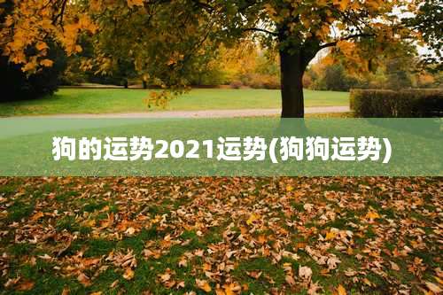 狗的运势2021运势(狗狗运势)
