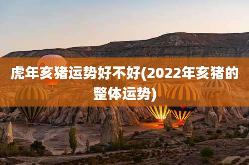 虎年亥猪运势好不好(2022年亥猪的整体运势)