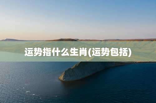 运势指什么生肖(运势包括)