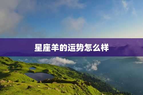 星座羊的运势怎么样