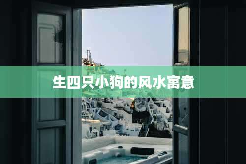 生四只小狗的风水寓意