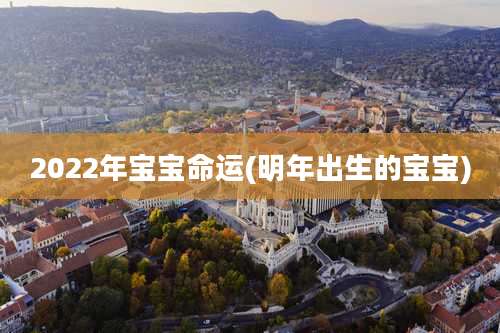 2022年宝宝命运(明年出生的宝宝)
