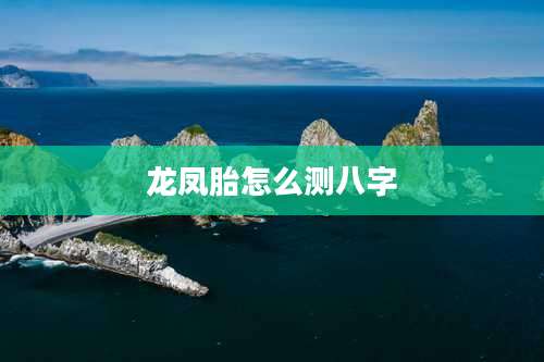 龙凤胎怎么测八字