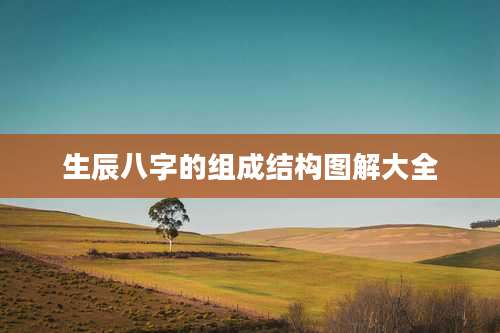 生辰八字的组成结构图解大全