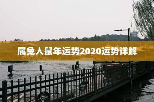 属兔人鼠年运势2020运势详解