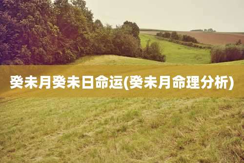 癸未月癸未日命运(癸未月命理分析)