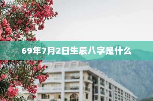 69年7月2日生辰八字是什么