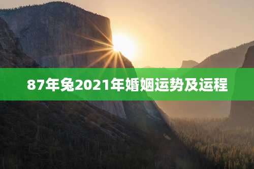 87年兔2021年婚姻运势及运程