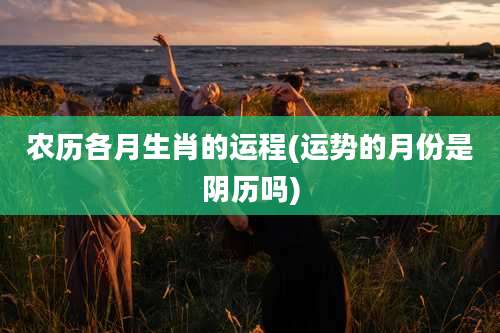 农历各月生肖的运程(运势的月份是阴历吗)