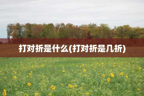 打对折是什么(打对折是几折)