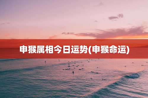 申猴属相今日运势(申猴命运)