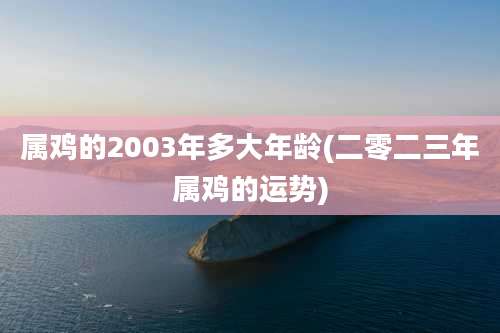 属鸡的2003年多大年龄(二零二三年属鸡的运势)