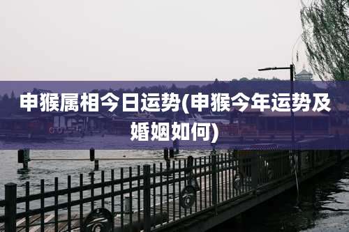 申猴属相今日运势(申猴今年运势及婚姻如何)