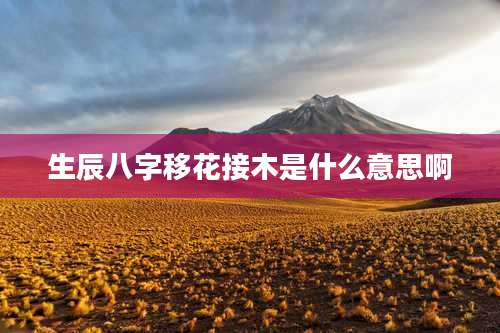 生辰八字移花接木是什么意思啊