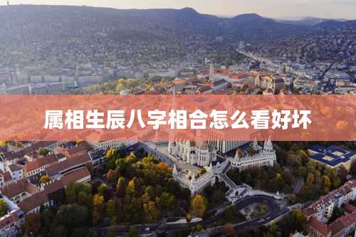 属相生辰八字相合怎么看好坏