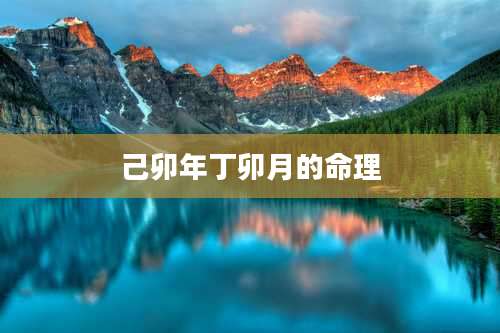 己卯年丁卯月的命理