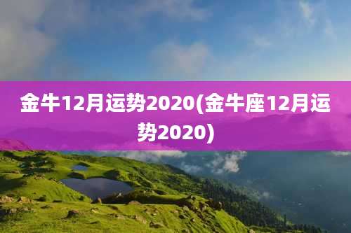 金牛12月运势2020(金牛座12月运势2020)