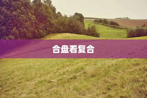 合盘看复合