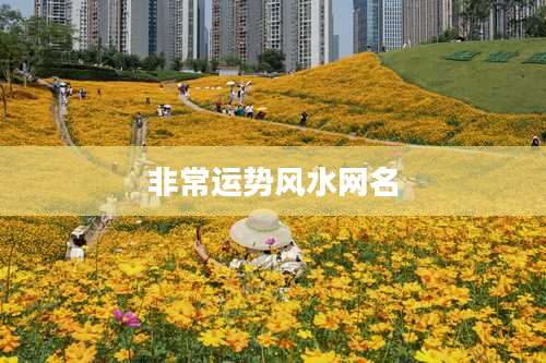非常运势风水网名