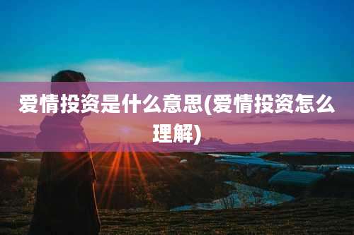 爱情投资是什么意思(爱情投资怎么理解)