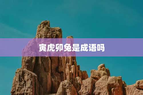 寅虎卯兔是成语吗