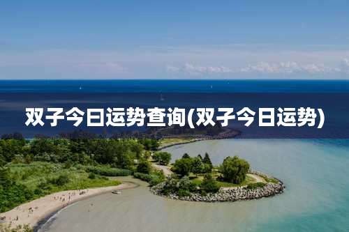 双子今曰运势查询(双孑今日运势)