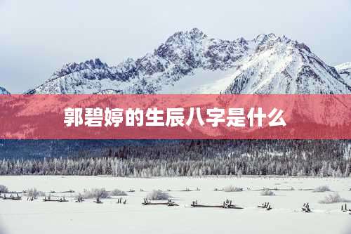 郭碧婷的生辰八字是什么