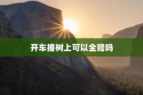 开车撞树上可以全赔吗