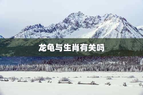 龙龟与生肖有关吗