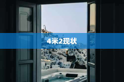 4米2现状