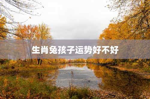 生肖兔孩子运势好不好