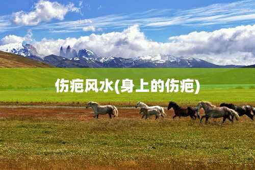 伤疤风水(身上的伤疤)