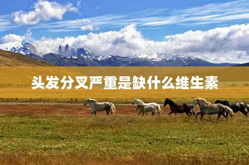 头发分叉严重是缺什么维生素