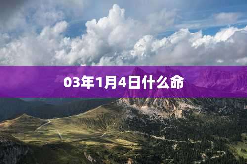 03年1月4日什么命