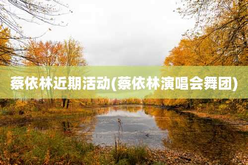 蔡依林近期活动(蔡依林演唱会舞团)