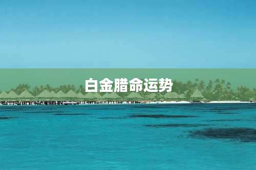 白金腊命运势
