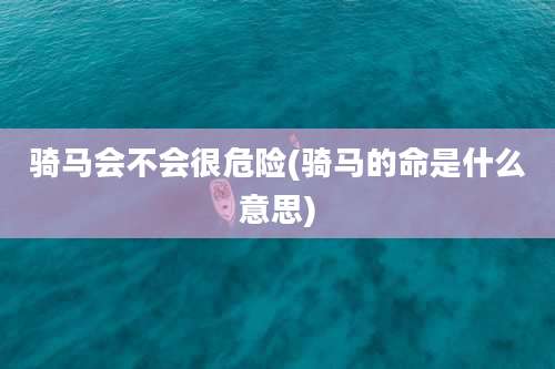 骑马会不会很危险(骑马的命是什么意思)
