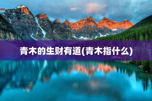 青木的生财有道(青木指什么)